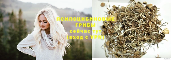 МДПВ Абаза